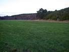 of improved grassland - via Daymix
