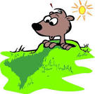 Happy Groundhog's Day