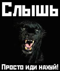 images?q=tbn:ANd9GcRppx_nqxKLDVFsP7BesQp0MLlayQ78ybC1WgOEUePacKcbfWwVFa04qcf0