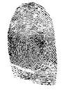 On the Bible and forensic evidence | OrthoCuban