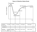 Collective Culture Shock