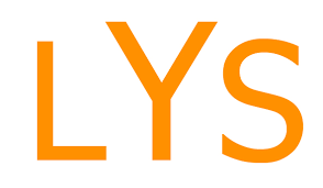 2011 lys ��z�mleri