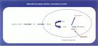 Erectile dysfunction | Advances in medicine: Medical articles ...