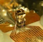 NIST Unveils Chip -Scale Atomic Clock