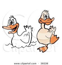 Clipart Illustration of a Goofy Duck Waddling On The Shore Near A ... - 30338-Clipart-Illustration-Of-A-Goofy-Duck-Waddling-On-The-Shore-Near-A-Swimming-White-Duck