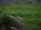 I love the smell of burning gorse in the morning. - via Daymix