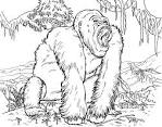 Gorilla coloring page