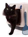 Potty Training Games