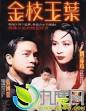 bian ju ： chen ke xin 、 ruan