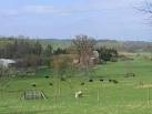 Malt Kiln Farm, Stoke Holy - via Daymix