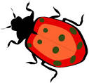 Bug