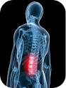 wisconsin-<b>back</b>-<b>injury</b>