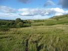 Sheep, trials bikes, mountain bikes and the odd walker have made some tracks - via Daymix