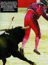 bulls home | Lenox Bulls