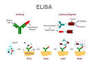BioPen Senses BioThreats