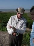 Bird handling instruction - via Daymix