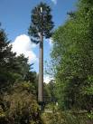 Alien Invasion. Is it a bird? Is it a plane? No! It's not a tree either! - via Daymix