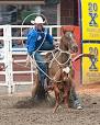 Calf roping - Wikipedia, the free encyclopedia