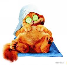 http://t1.gstatic.com/images?q=tbn:ANd9GcRruMbHtlCIqwgCgTOvMtPVjKO9ukwXDsqNIM0bxW483pqT4tLIvg