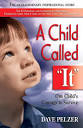 written by Nancy Werlin.