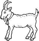 Goat coloring page