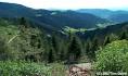 much of Black Forest has
