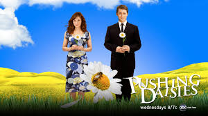 Pushing Daisies 1.sezon 2.b�l�m