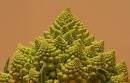 World Mysteries - Science Mysteries, Fibonacci Numbers and Golden ...