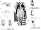 <b>Morphogenesis</b>, FractoGenesis