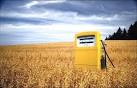 Biofuels: Pros and Cons - Green World Investor - Solar Feeds