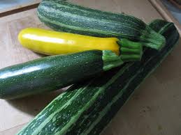 zucchini