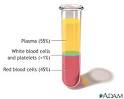 Jehovahs Witnesses - Position Overview | Bloodless Medicine Care Guide