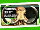 Earth entering 6th extinction phase, many species including humans.