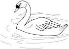 Swan coloring page