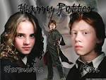 Hermione Ron Harry Potter wallpaper. Wallpaper: Hermione and Ron - Harry ... - hermione-ron-harry-potter-wallpaper