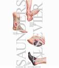 Diabetic Neuropathy - Netter Medical Images