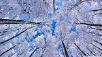temps de neige - MOTS SOUS LAUBE