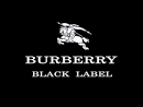 http://www.yourlogoresources.com/wp-content/uploads/2011/09/burberry-logo.jpg