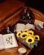 Botany - Wikipedia, the free encyclopedia