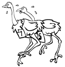 Ostrich coloring page