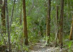 With cool ocean breezes and a plunge in the surf after your hike, the 2.7-mile trail at Kathryn Abbey Hanna Park in Jacksonville is a great choice for a ... - hannahpark-300x212