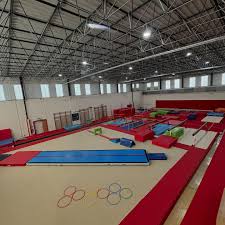 Image result for West Lothian Artistic Gymnastic Club