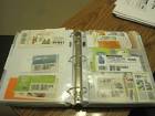 Learn to Coupon | How to Organize Coupons Part I