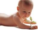 Bebe Picture 1