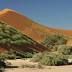 Sossusvlei