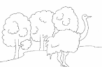 Ostrich coloring page