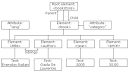 XML DOM Tutorial