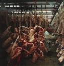 Slaughterhouse Ethics