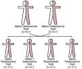 alpha <b>thalassemia</b> trait.