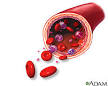 Blood and Blood Disorders: MedlinePlus